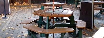 Yosemite Picnic
