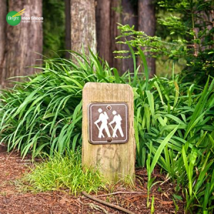 Camp Grounds & Camping Signage