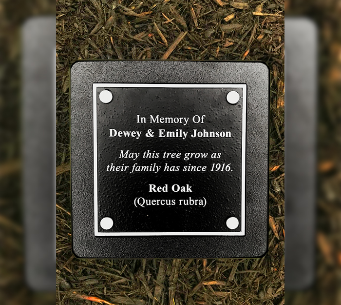 cemetery tree bench plaque