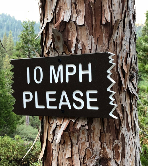 Custom Speed Limit Sign for HOA