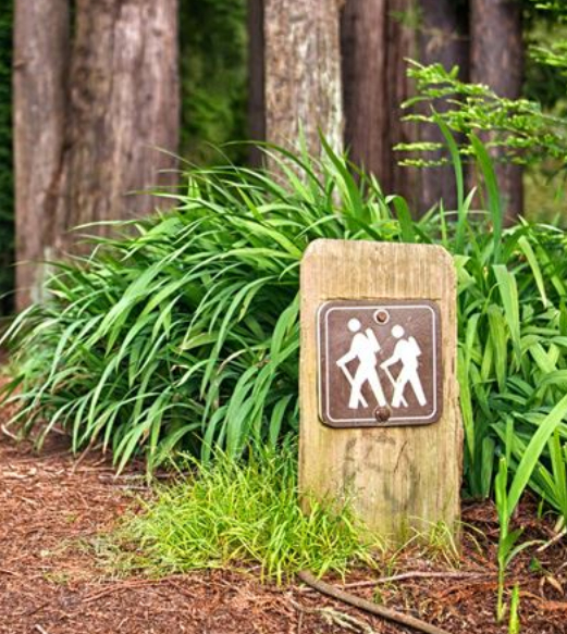 Park Hiking Trail Wayfinding Signage