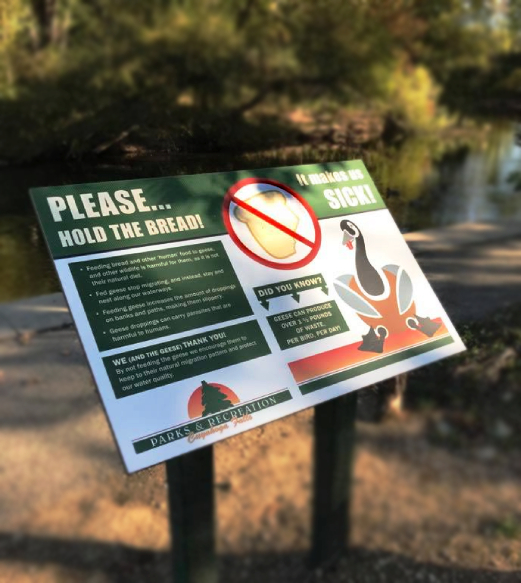 Ducks and Aquatic Life Wayfinding Signage