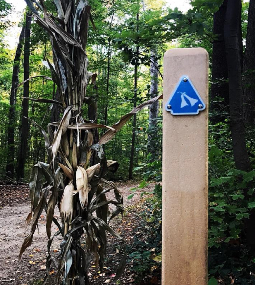 Modern Nature Trail Wayfinding Sign