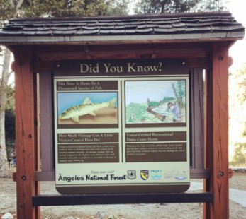 Camping Signs