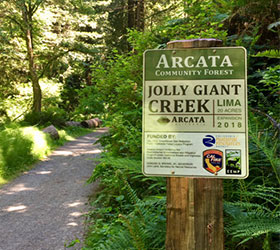 Trail signage